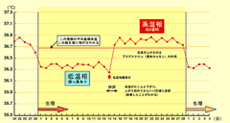 基礎体温表